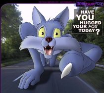 bbfbgstr.jpg by Karsten Auchter (BigBlueFox)