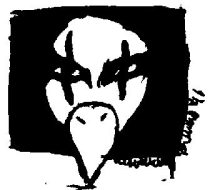 crow.jpg by Katie Bubenik (Moonbeam)