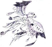 ntbosprey.jpg by Nicole Trujillo (Kompy, Tanuki)