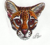 glosoce.jpg by Gloria Higginbottom (Twap, Snitter)