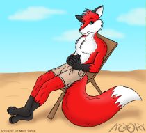 acru_fox.jpg by Paul Mason (Kooky)
