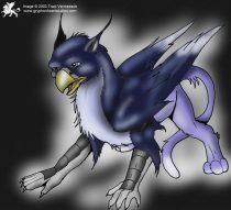 blue-gryffe.jpg by Traci Vermeesch (Ulario)