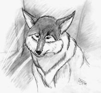cd-wolf.gif by Colleen Phillips (Catnel)
