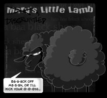 blksheep.jpg by Jen Seng (Spunky)