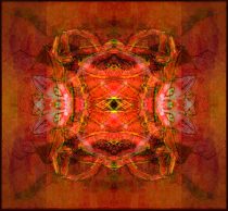 rorschachcat3.jpg by Amanda Adams (Lightbulby, Apoidea)