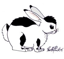 hugger2.jpg by Heather Fieldhouse (BunnyHugger, Ringo)
