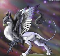 aurora-gryphon.jpg by Traci Vermeesch (Ulario)