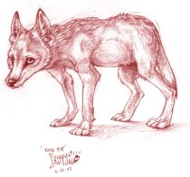 ayotepup.jpg by Claire Hummel (Shoom'lah)