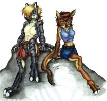 furs1.jpg by Kristin Deeds