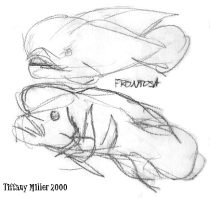 frontosa.jpg by Tiffany Miller (Sketch, Swift Claw)