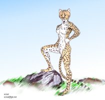 femchee.jpg by Jason Williams (Ocicat)