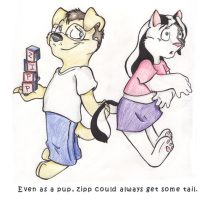 ziptail.jpg by Audrey Walker (KrazyKlaws, WolfDreamer)