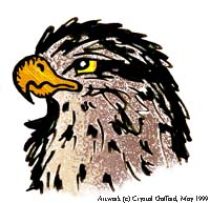 falcon.jpg by Crystal Gafford (Kittrel)