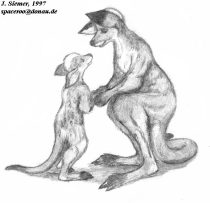 babyroo.jpg by John Siemer (Spaceroo)
