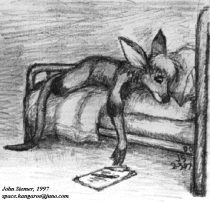bedroojs.jpg by John Siemer (Spaceroo)