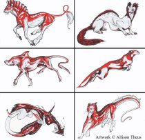 critters.jpg by Allison Theus (Ali)