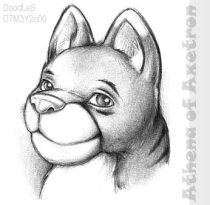 athiehed.jpg by Meike Thomas (DoodLeS)