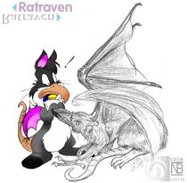 ntbwricochet.jpg by Nicole Trujillo (Kompy, Tanuki)