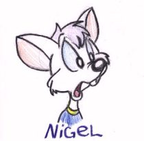 niglhead.jpg by Brooke Michelle (Zuccini, Zuzu)