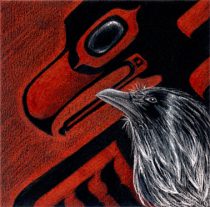 haidarvn.jpg by Sarah Troutman (Maui)