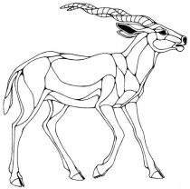 antelope.jpg by Xenia Eliassen (Swandog)