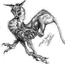 krakwuff.gif by Allison Theus (Ali)