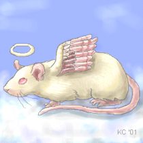 angelrat.gif by Kayleen Connell (Katarina)