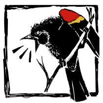 okaree.gif by Sue P.