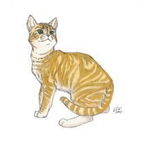 kitty02.jpg by Gloria Higginbottom (Twap, Snitter)