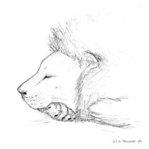 catnap.jpg by Odis Holcomb (Ryngs, The March Hare)