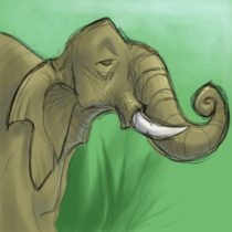 elemafunt2.jpg by Claire Hummel (Shoom'lah)