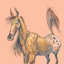 appyloosa.jpg by Cara Mitten