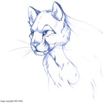 high_mountain_screamer.jpg by Margaret Petrie (Nduli)