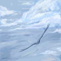 flightcopy.jpg by Allison Theus (Ali)