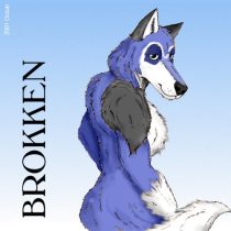 brokn.jpg by Jason Williams (Ocicat)