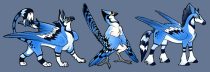 jaythings.gif by Aaron Acre (04)