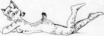 ami1.gif by Ainsley Seago