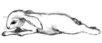 badday.jpg by Heather Fieldhouse (BunnyHugger, Ringo)