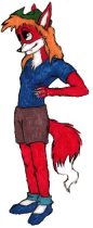 colsox.jpg by Arthur Pearson (Picklejuice)