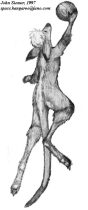 bballroo.jpg by John Siemer (Spaceroo)