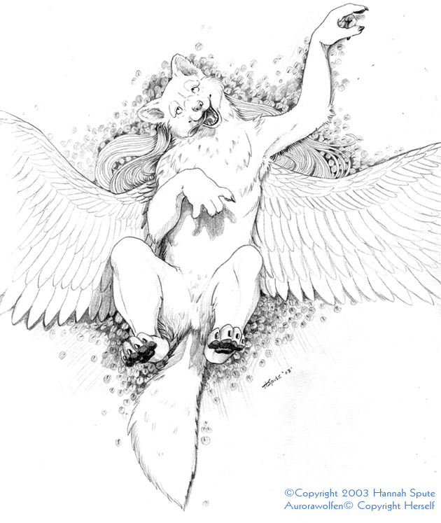 I figured I would try my hand at a winged wolf. Graphite.
aurora.jpg - 2003-11-12