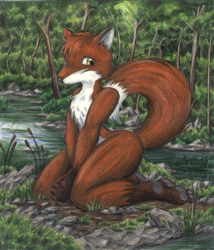 A fox sitting by a creek. This was inspired by another piture on the SCFA [but I forget by who] same pose, but different animal and background.
creek.jpg - 1998-02-27
