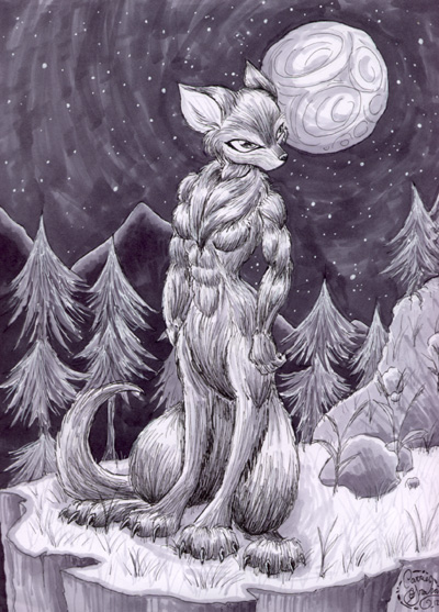 Just a random wolftaur in a wilderness setting. This picture was done using grey markers.
wlftaur.jpg - 2001-02-02
