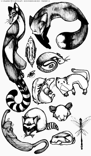 Inking practice: a bunch of stylized wonky critters. Oldoldoldold. Eesh.
cs-amnls.jpg - 2001-07-02
