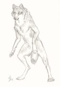 wolfwere.jpg by L.N. Dornsife (Thornwolf)