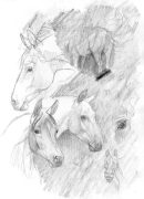 graphitehorses.jpg by Therese Larsson (Ailah)
