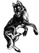 dogwolf.jpg by Amy Fennell (Lyosha)