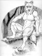 forestwolf.jpg by Kimberly Pyne (T'Kuro Grym)