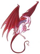 calipso-dragon.jpg by Robin Hall (IndigoFox)