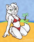 beachkat.jpg by Marcy Osedo (Ponygirl)